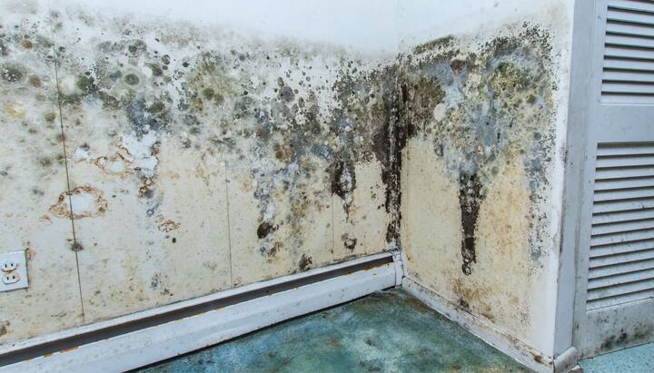 Professional mold removal, odor control, and water damage restoration service in Memphis, Tennessee.