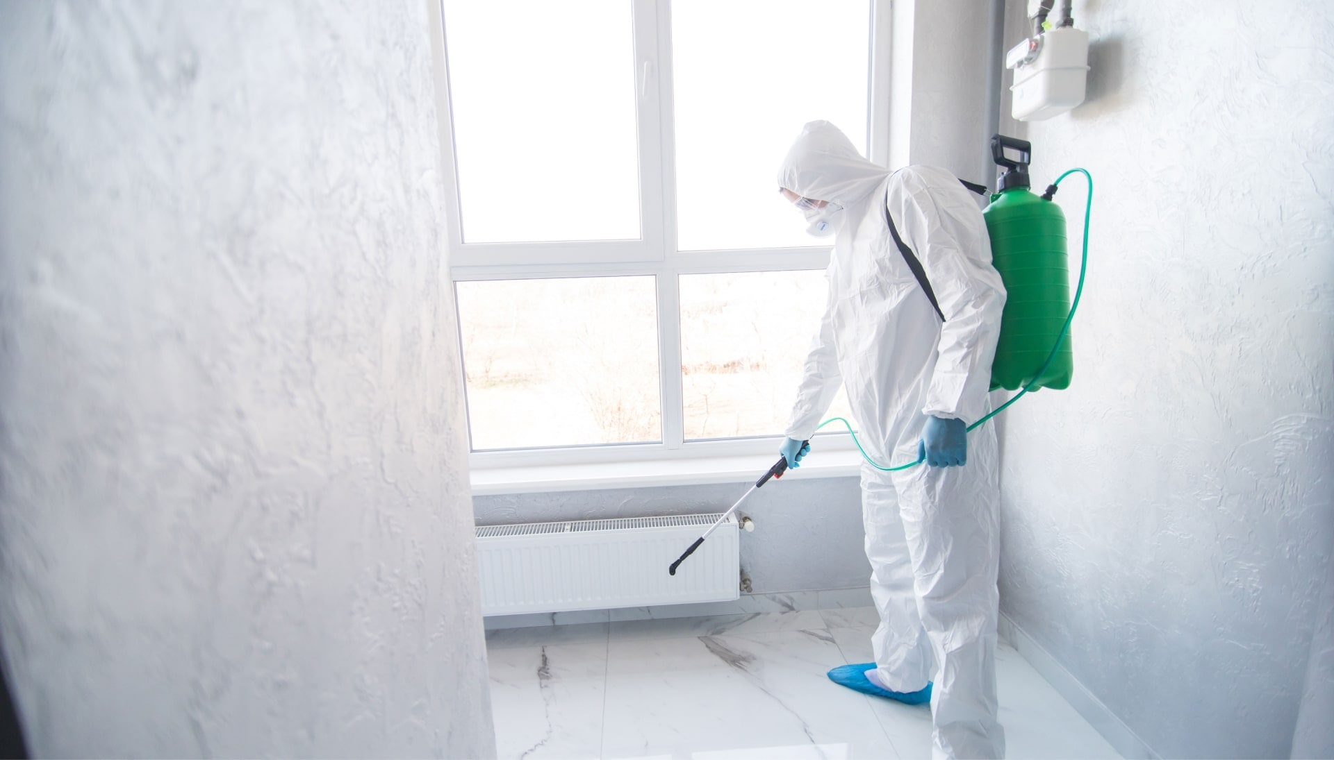 We provide the highest-quality mold inspection, testing, and removal services in the Memphis, Tennessee area.