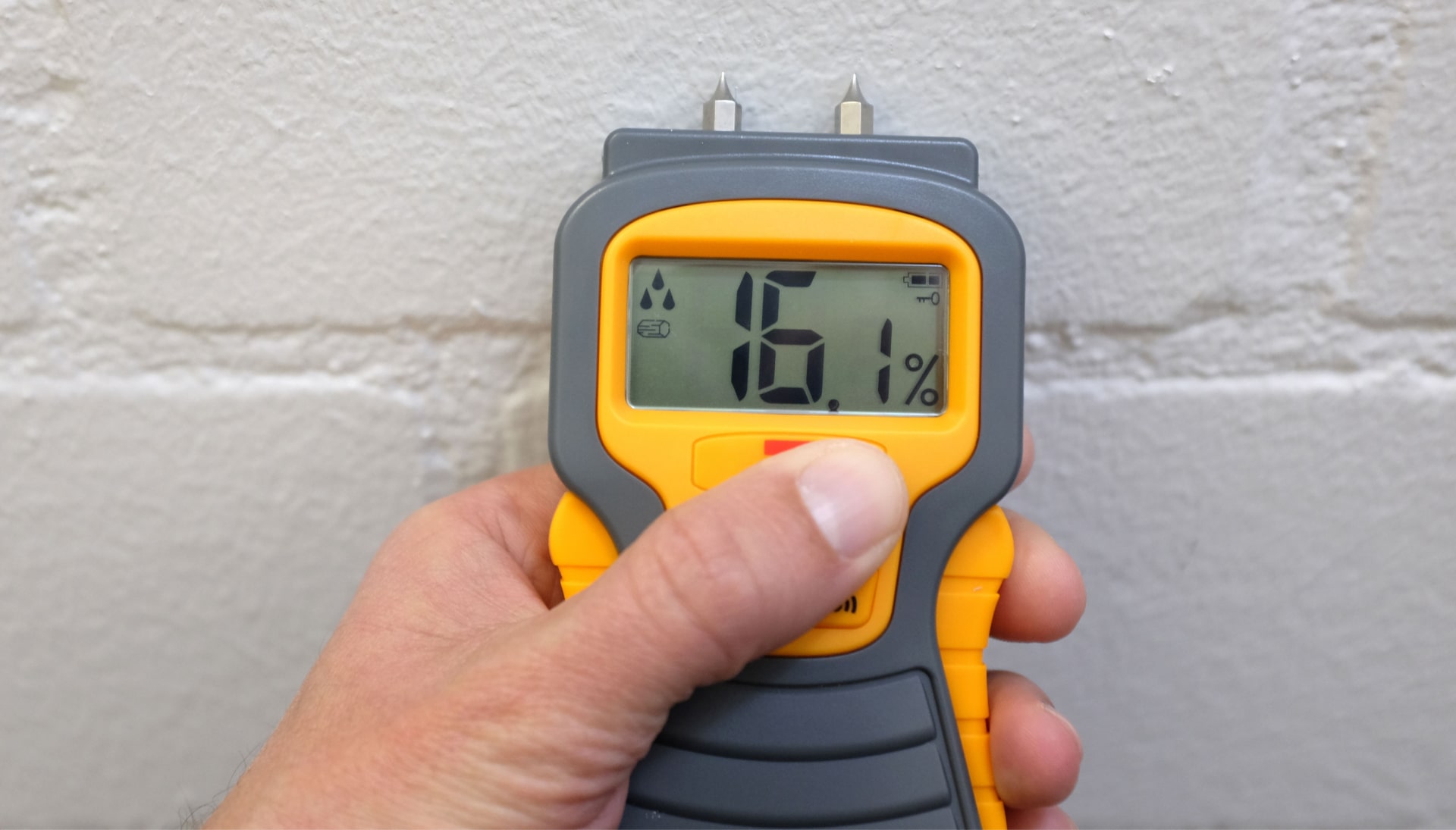 We provide fast, accurate, and affordable mold testing services in Memphis, Tennessee.